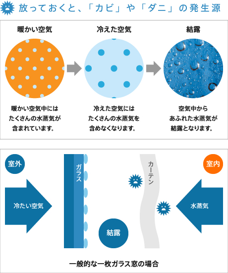 放っておくと、「カビ」や「ダニ」の発生源